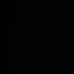 Meet your Posher, Todd